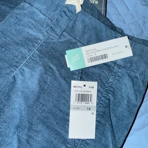 Democracy Dark Blue Skyrise Pants